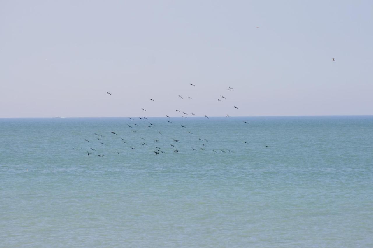 A Cote De La Mer Олт Екстериор снимка